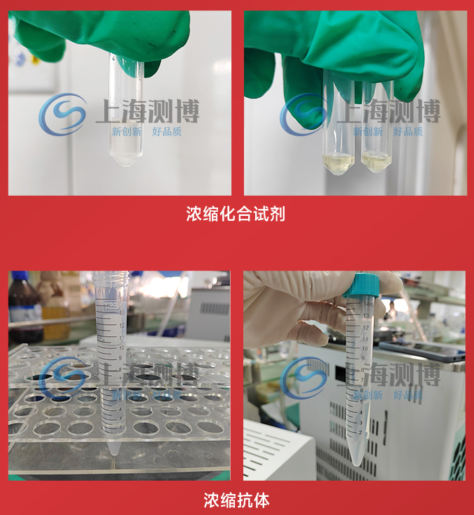 CBNSY-真空离心浓缩仪-测博_11