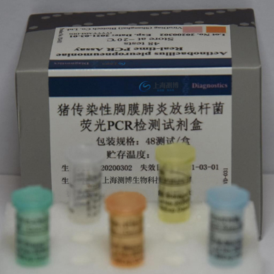 猪传染性胸膜肺炎放线杆菌荧光PCR检测试剂盒