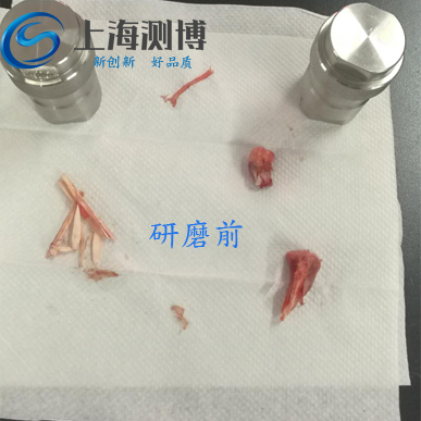 上海测博-全自动样品研磨仪进行研磨兔子腿骨实验