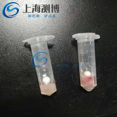 研磨破碎动物内脏组织实验全过程