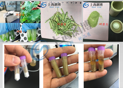 全自动样品快速研磨仪 实验案例展示图