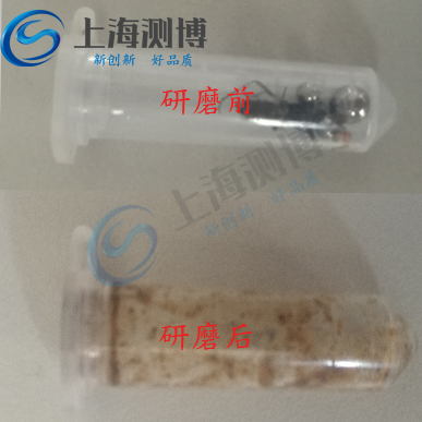 臭虫研磨提取核酸实验-多样品组织研磨机-上海测博