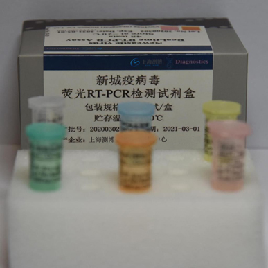 新城疫病毒荧光RT-PCR检测试剂盒