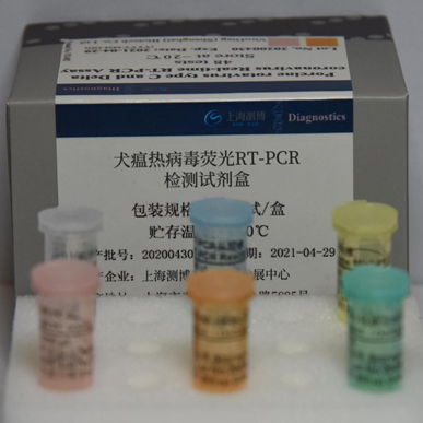 犬瘟热病毒荧光RT-PCR检测试剂盒
