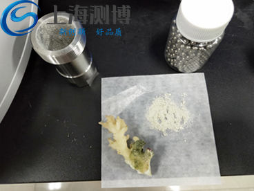 珊瑚研磨后效果图